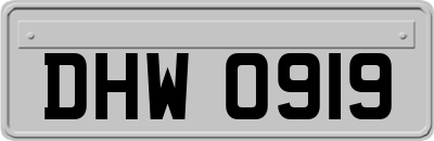 DHW0919