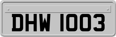 DHW1003