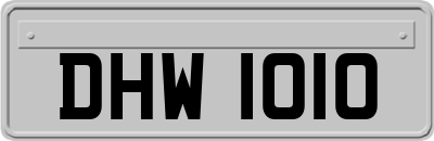 DHW1010