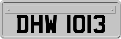 DHW1013