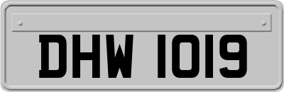 DHW1019