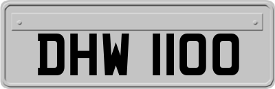 DHW1100