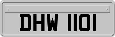 DHW1101