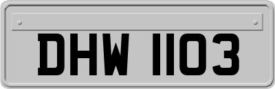 DHW1103