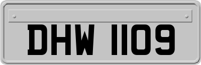 DHW1109