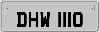 DHW1110