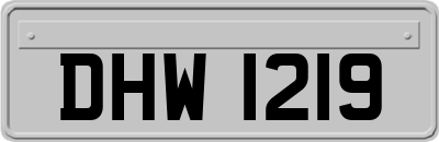 DHW1219
