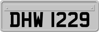 DHW1229