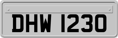 DHW1230