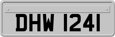 DHW1241
