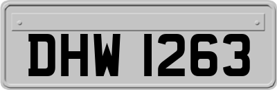 DHW1263