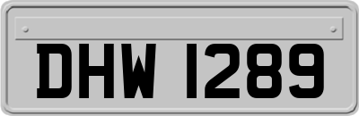 DHW1289
