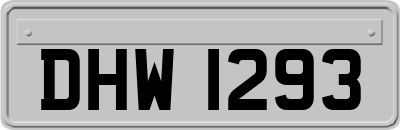 DHW1293