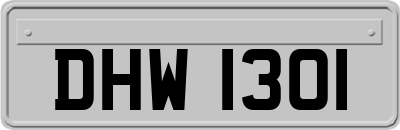 DHW1301