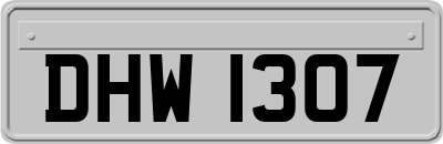 DHW1307