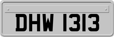 DHW1313