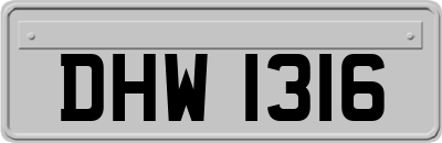 DHW1316