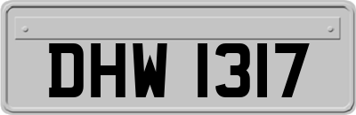 DHW1317