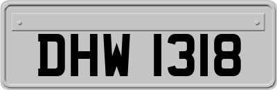 DHW1318