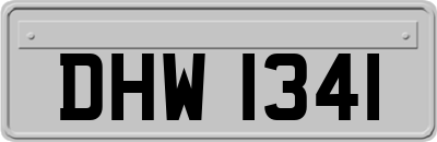 DHW1341