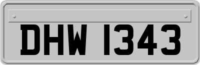 DHW1343