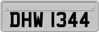 DHW1344