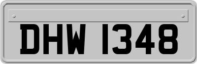 DHW1348