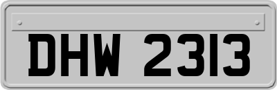 DHW2313