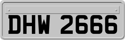 DHW2666