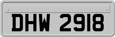 DHW2918