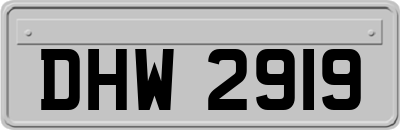 DHW2919
