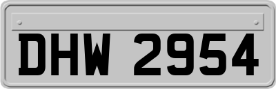 DHW2954