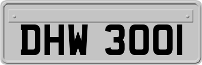 DHW3001