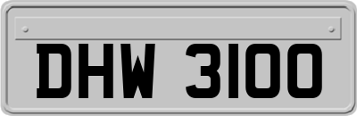 DHW3100