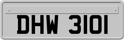 DHW3101