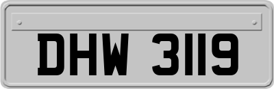 DHW3119