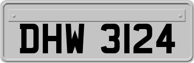 DHW3124