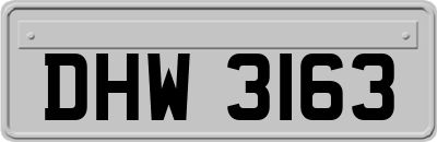 DHW3163