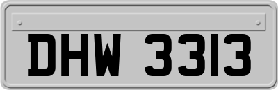 DHW3313