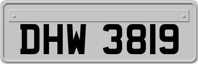 DHW3819