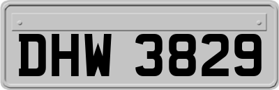DHW3829