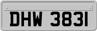 DHW3831