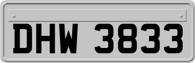 DHW3833
