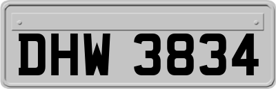 DHW3834