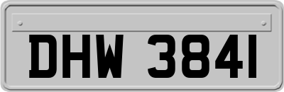 DHW3841