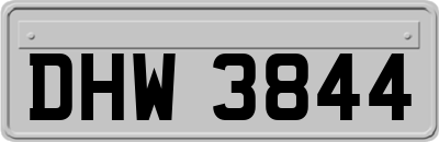 DHW3844