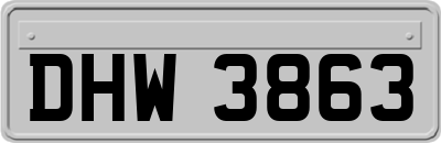 DHW3863