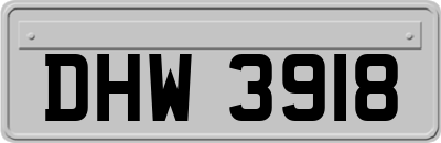 DHW3918