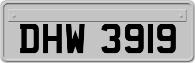 DHW3919