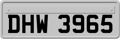 DHW3965
